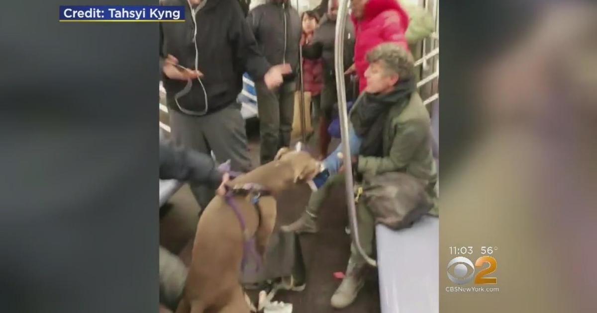 Dog allegedly attacks passenger on NYC subway amid confrontation - Home ...