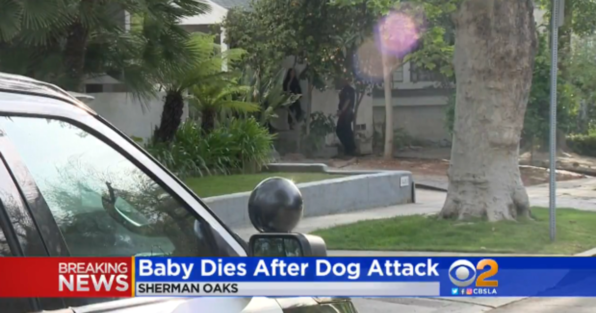 3-month-old baby dead after dog mauling in Los Angeles, police say ...