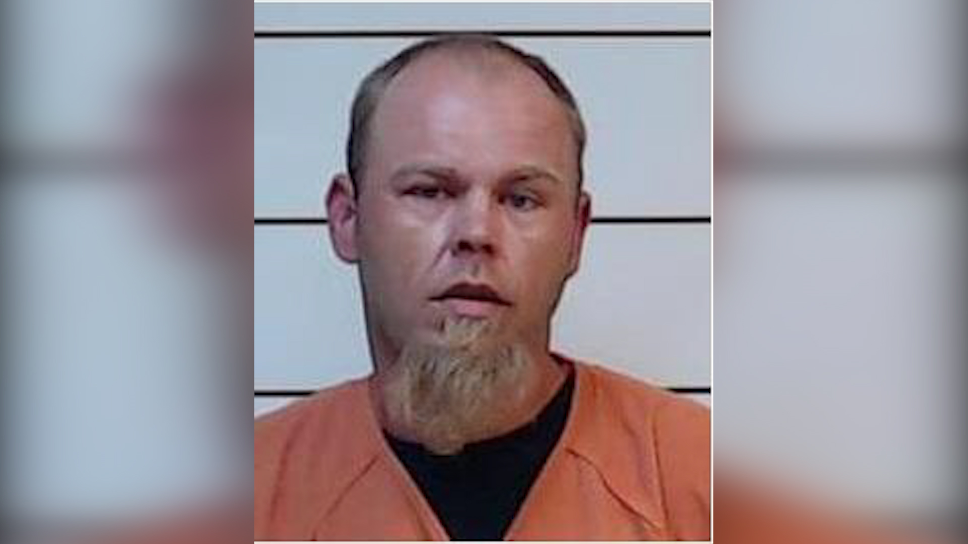 Traffic stop leads to felony drug arrest in Tishomingo County Home