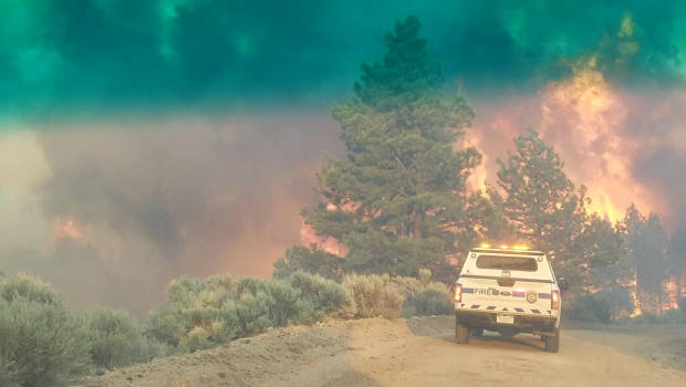 Flames rise from a treeline near an emergency vehicle during efforts to contain the Spring Creek Fire in Costilla County