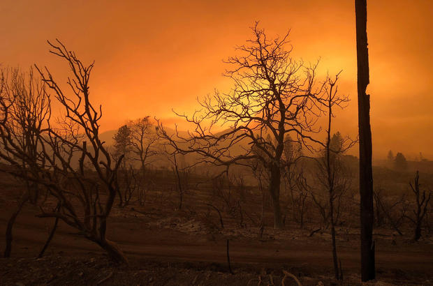 A blackened landscape is shown from wildfire damage near Keswick