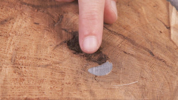gettysburg-witness-trees-bullet-embedded-in-trunk-620.jpg 