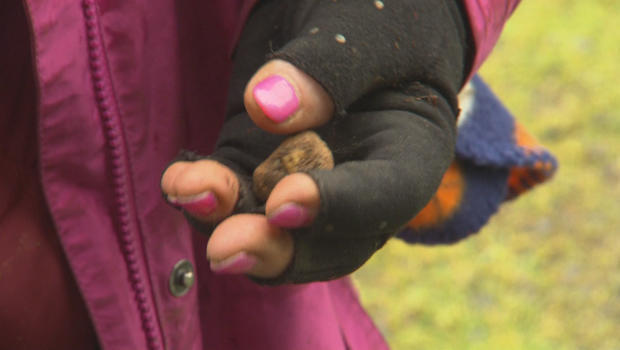 truffles-the-prize-620.jpg 