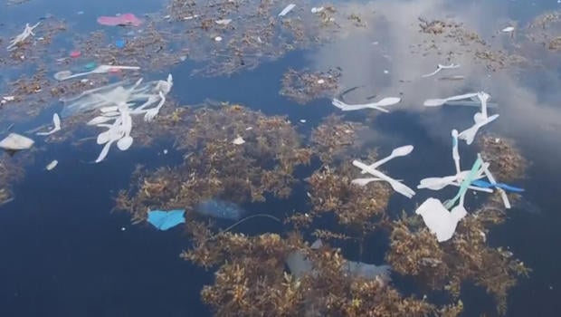 floating-trash-island-off-honduras-b-620.jpg 