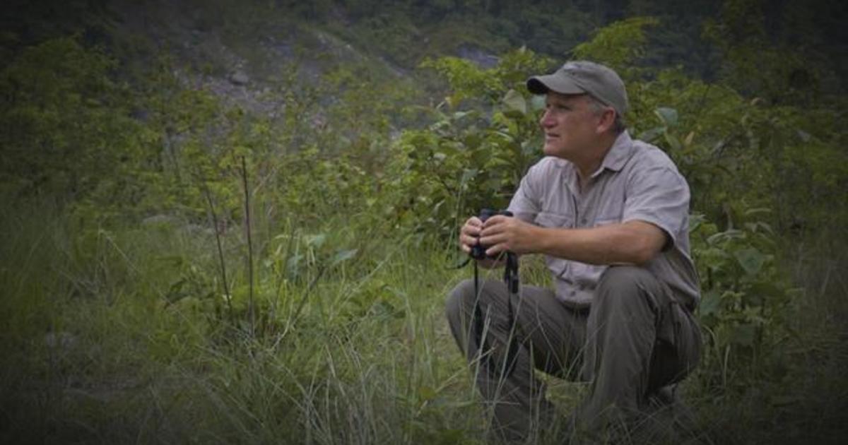 Alan Rabinowitz Remembering Alan Rabinowitz, beloved conservationist of wild cats ...