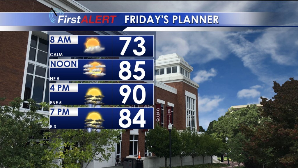 Friday's Planner
