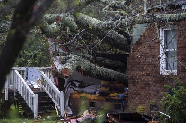 A tree that fell on a house