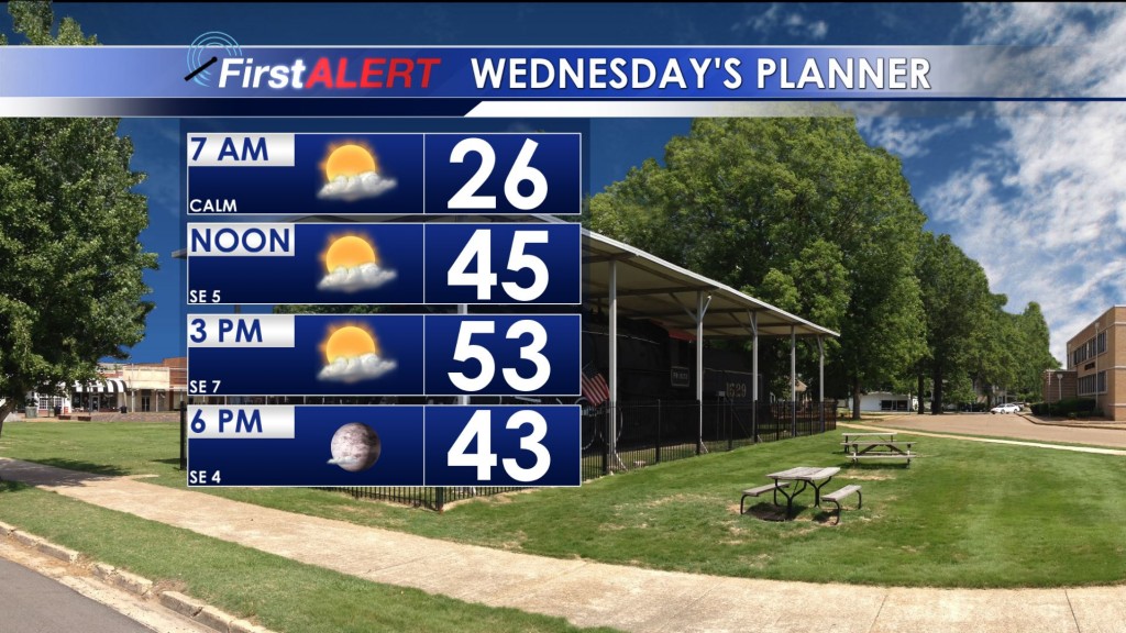 Wednesday's Planner