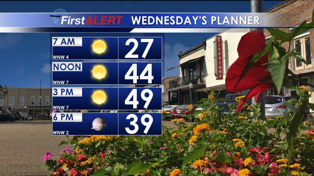 Wednesday's Planner