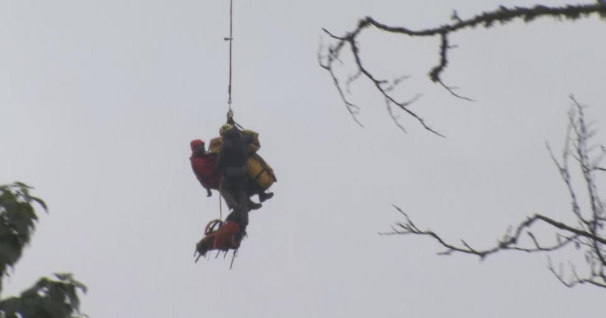 Dramatic video shows rescue of children after family fell down cliff ...