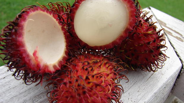 15 strange fruits and vegetables 