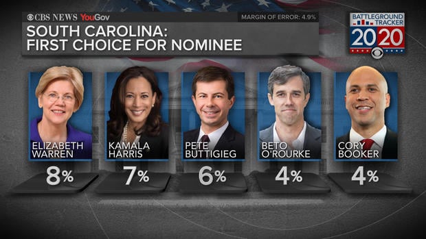 battleground-sc-vote-b.jpg 