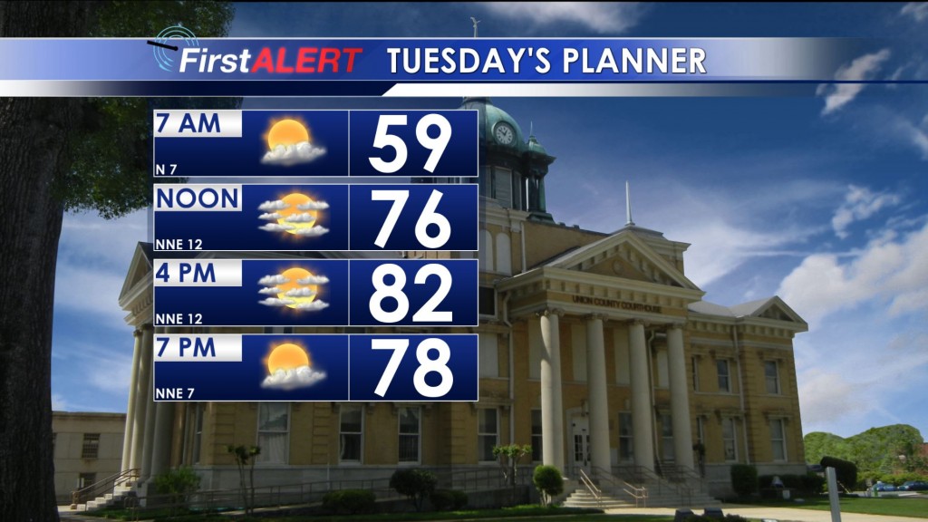 Tuesday's Planner