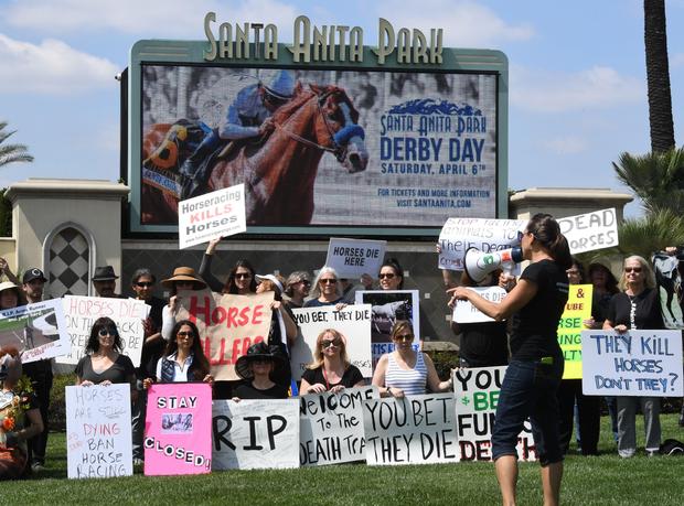 Santa Anita horse racing deaths
