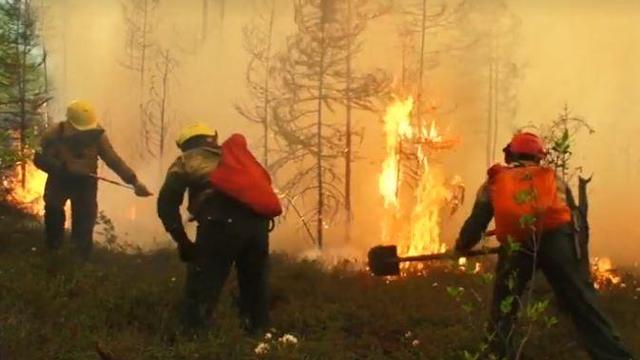 siberia-wildfire-russia.jpg 