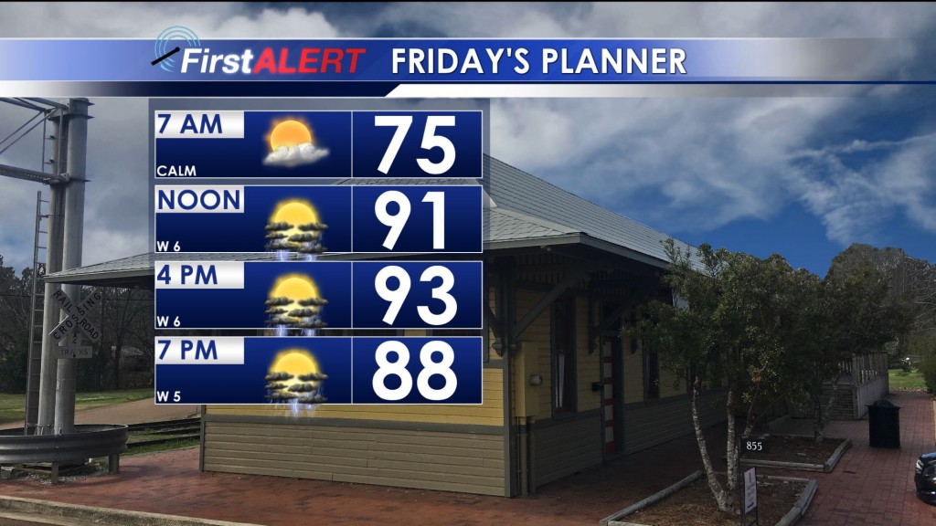 Friday's Planner