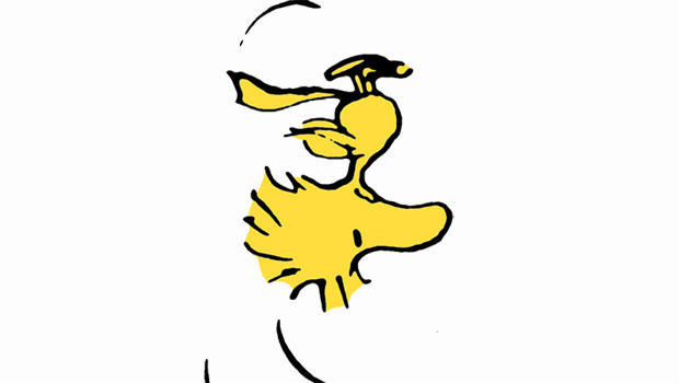 woodtock-peanuts-620.jpg 