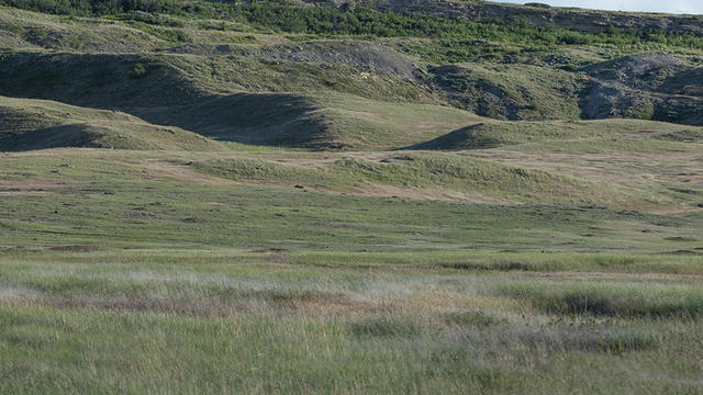 northern-montana-grassland-with-prairie-dog-mounds-verne-lehmberg-promo.jpg 