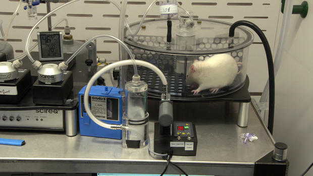 vaping-research5.jpg 