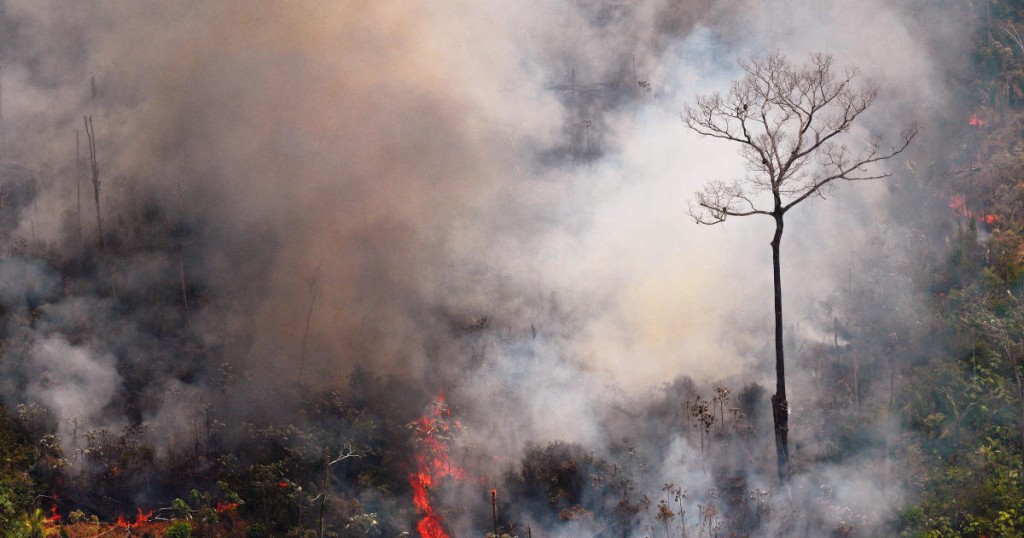 TOPSHOT - Aerial picture showing a fire raging in the Amazon rainforest about 65 km from Porto Velho