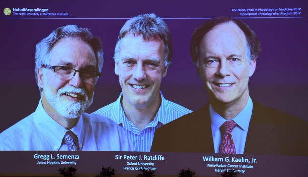 The winners of the 2019 Nobel Prize in Physiology or Medicine (L-R) Gregg Semenza of the US