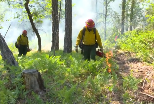 pineros-firefighters-controlled-burn.png 
