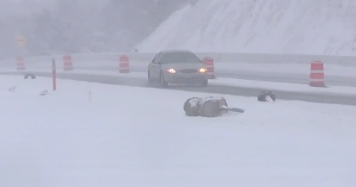 Winter storm brings nightmare travel conditions across Southwest - Home ...
