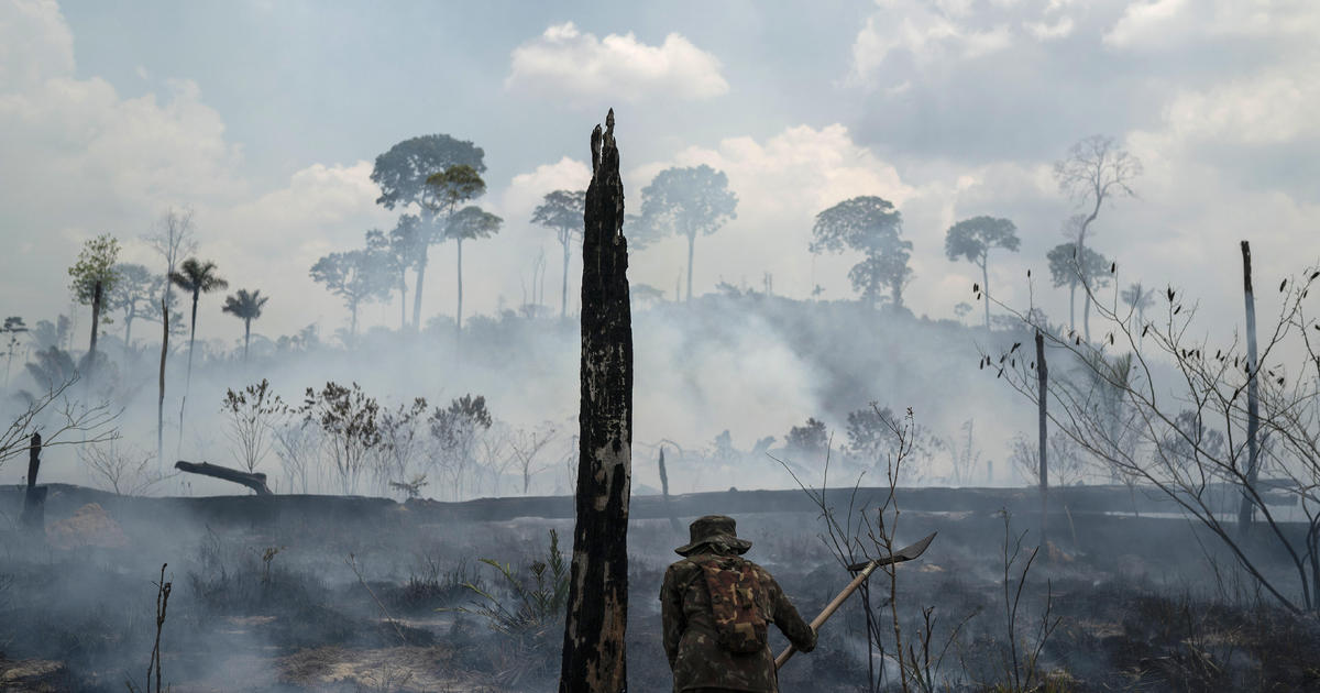 Top photos of 2019: The year in pictures - Home - WCBI TV | Telling ...