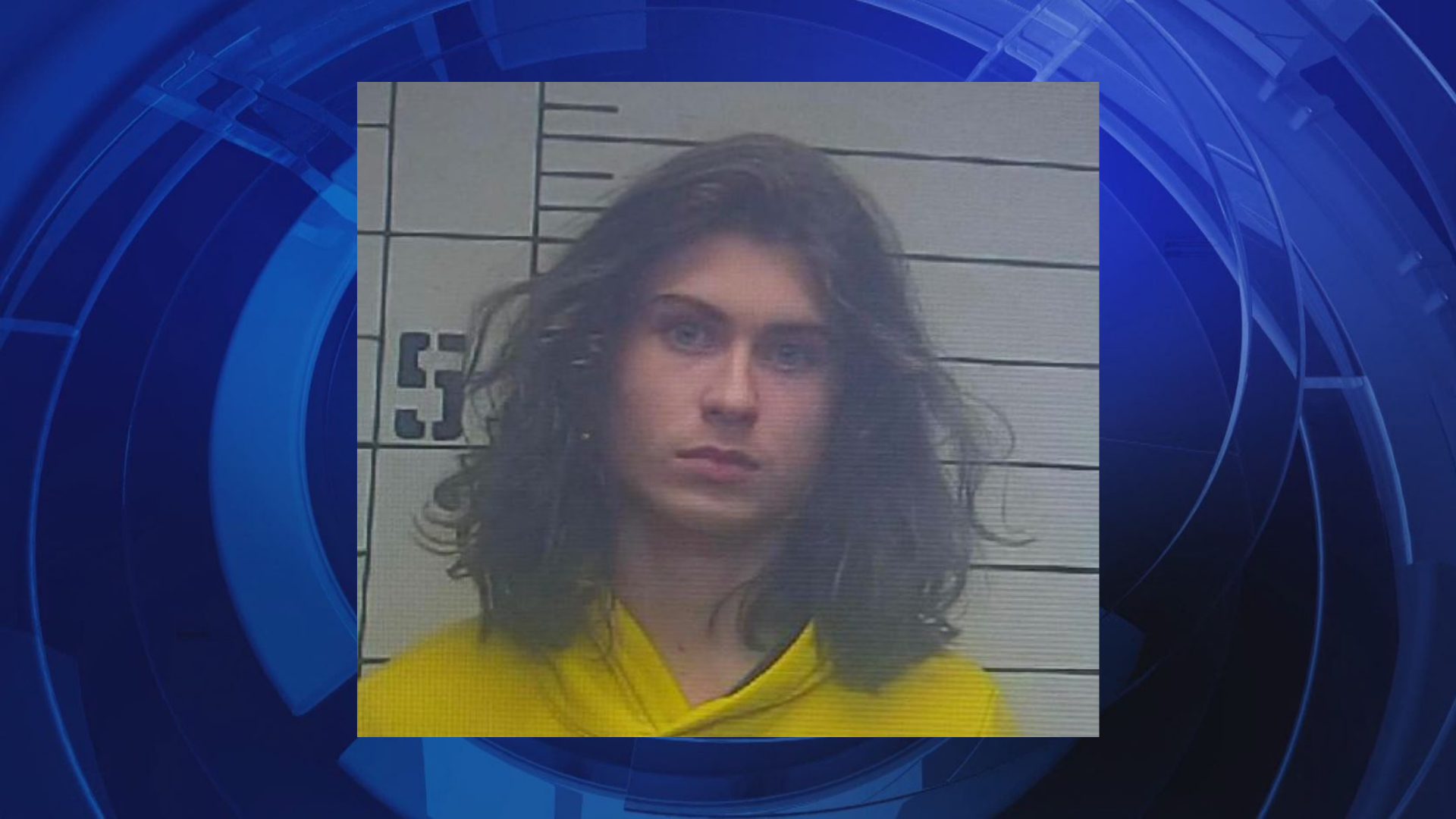 A West Point High School student faces attempted murder charges - Vimarsana News