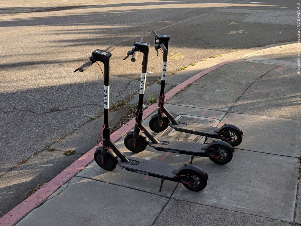 Bird Scooters