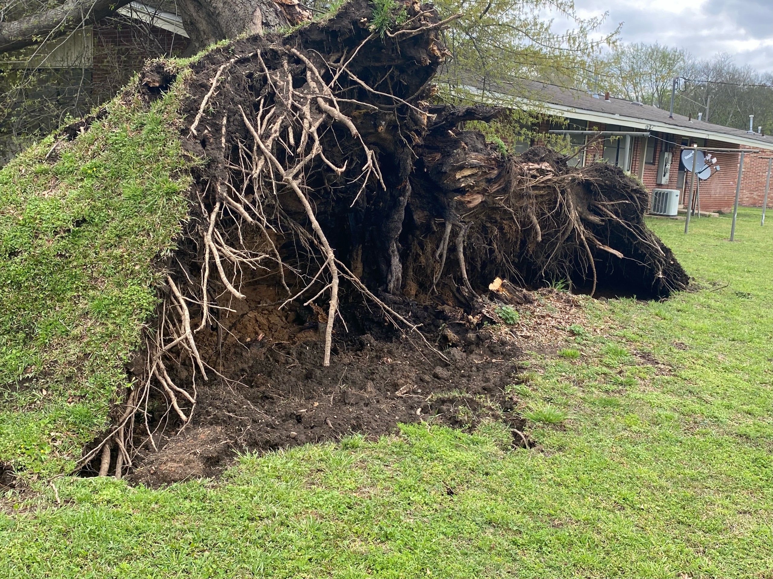 Emergency service agencies to build more storm shelters in Mississippi - Vimarsana News
