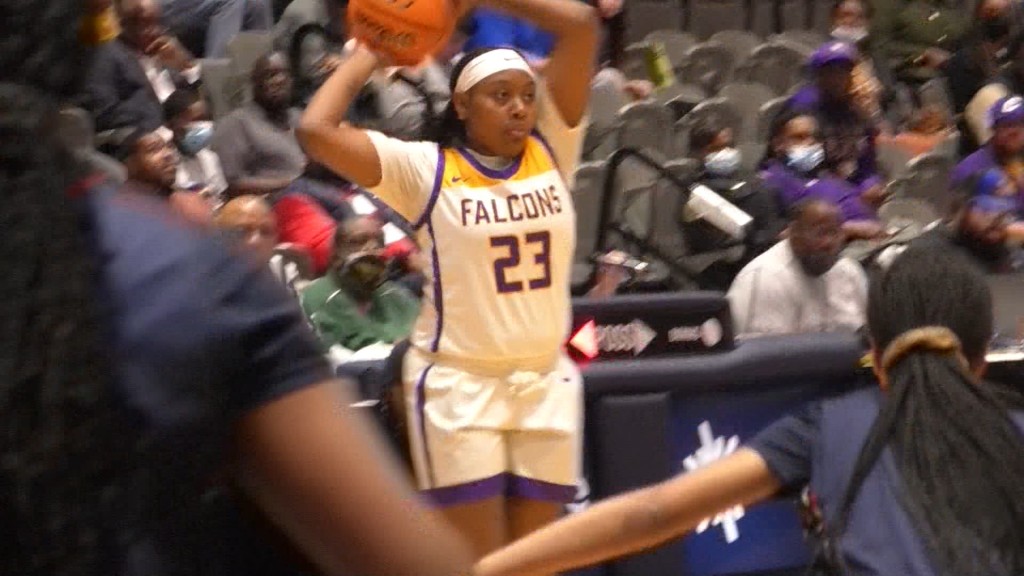 Falcons