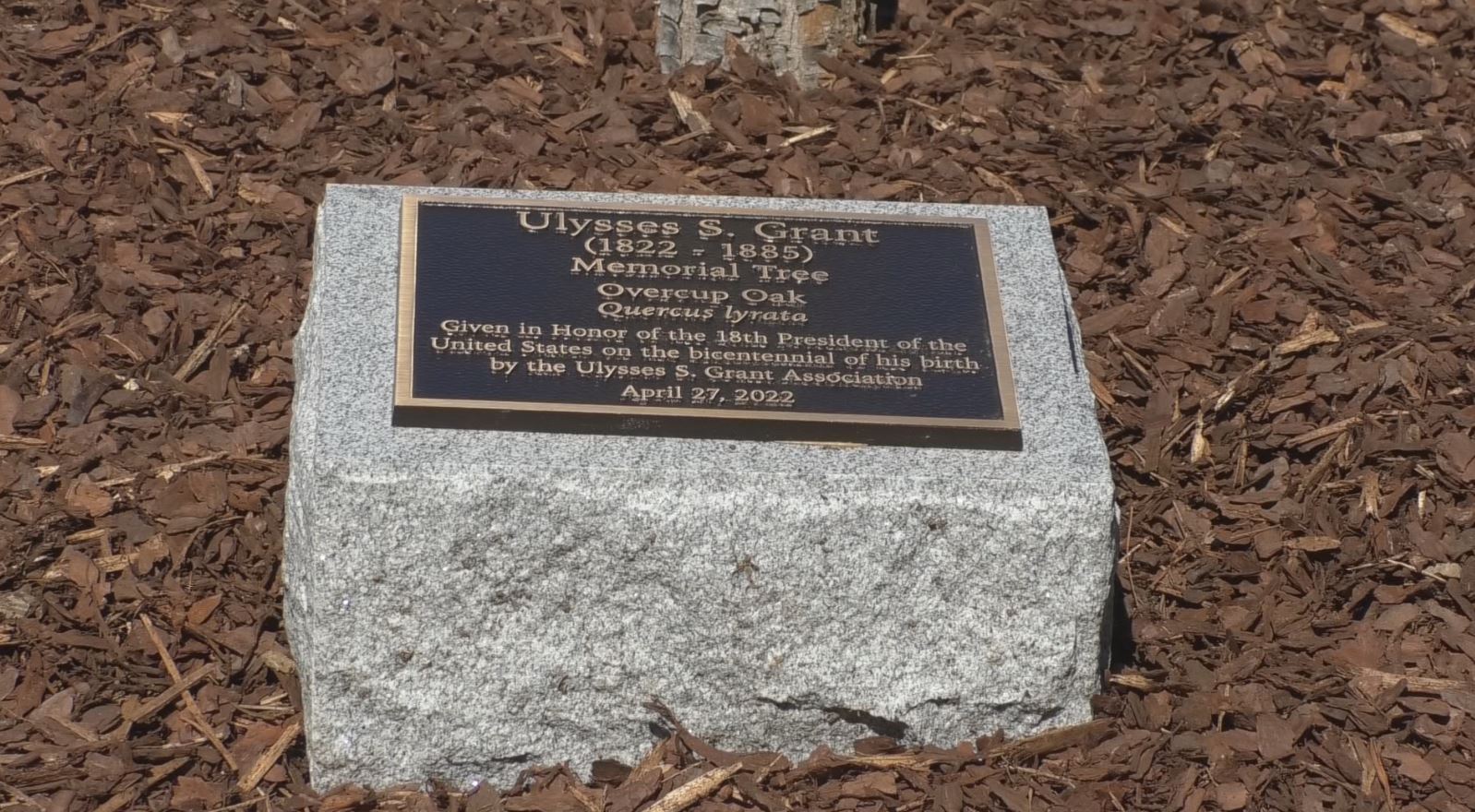 MSU honored Union General and U.S. President Ulysses S. Grant - Vimarsana News