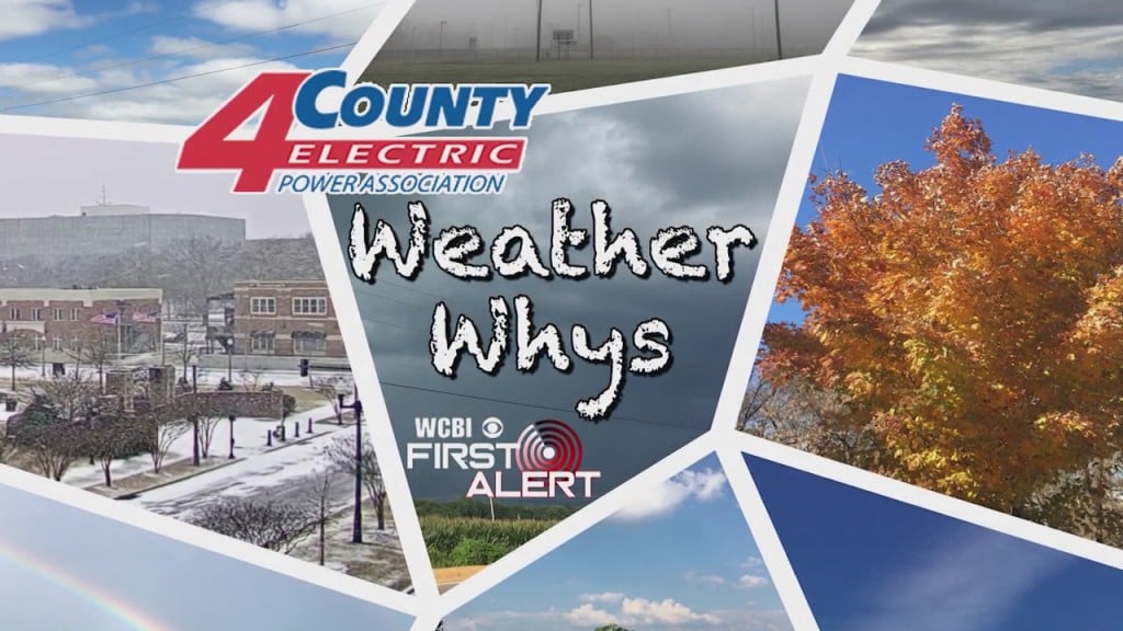 Meteorologist Jackson Chastain Talks About Humidity This Week In Weather Whys.