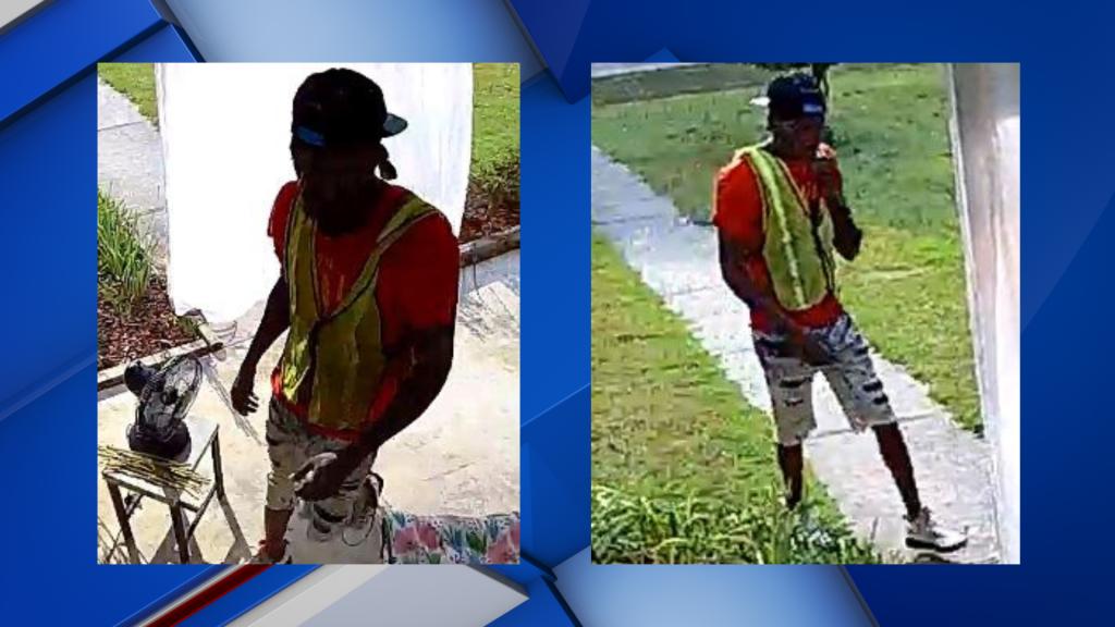 Lowndes Burglary Suspect