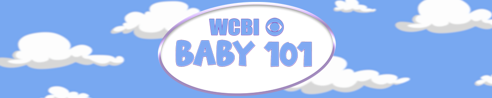 Baby 101 Web Banner