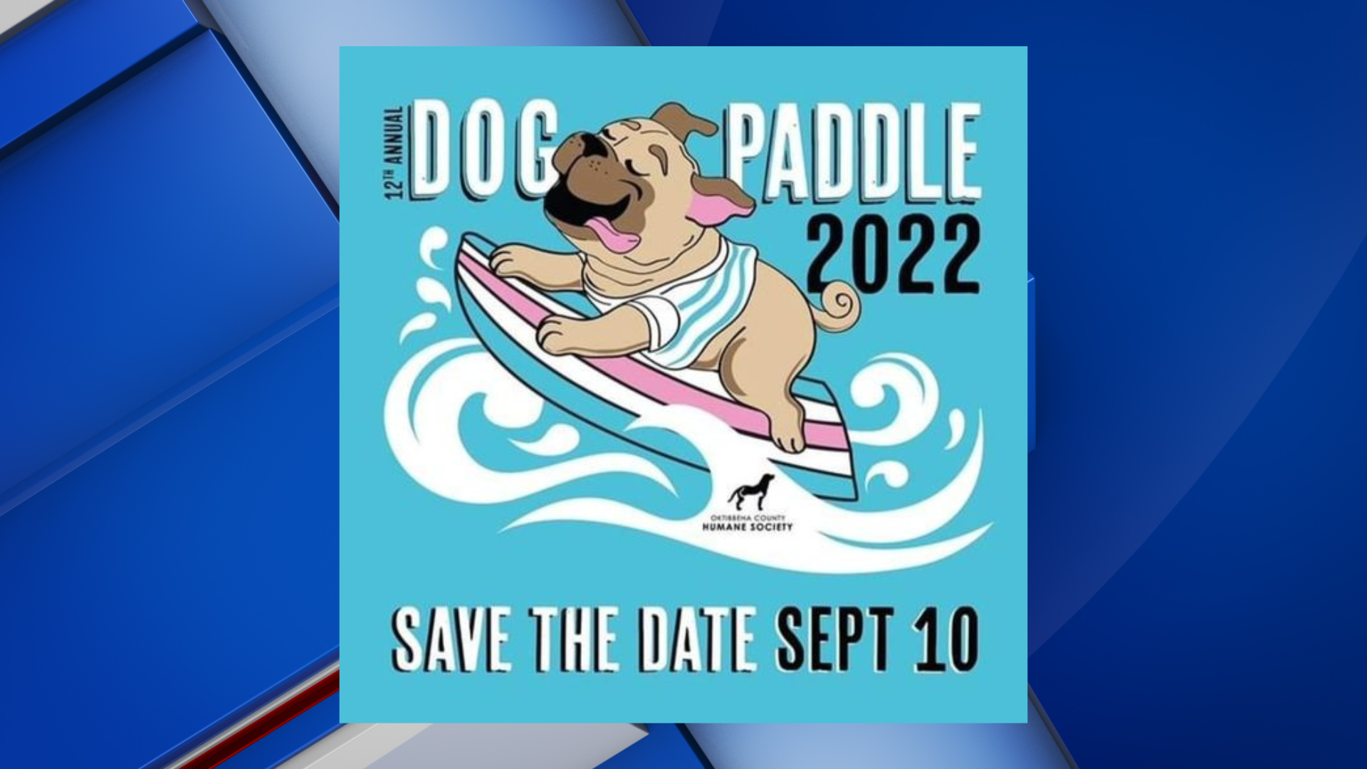 Saturday in Starkville is the 12th annual dog paddle