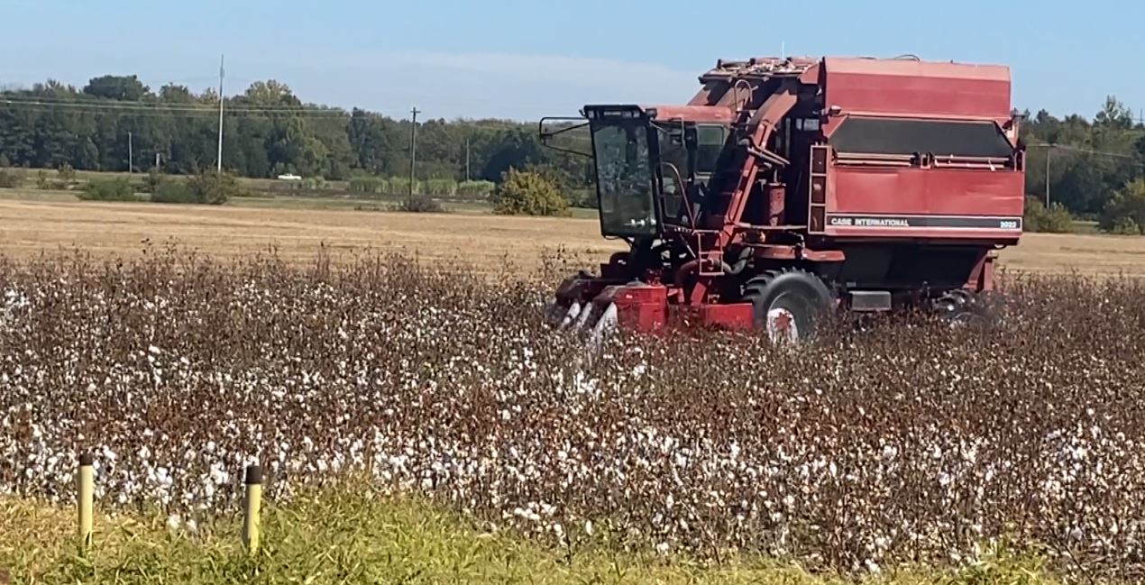 Harvest season looking good for area farmers - Vimarsana News