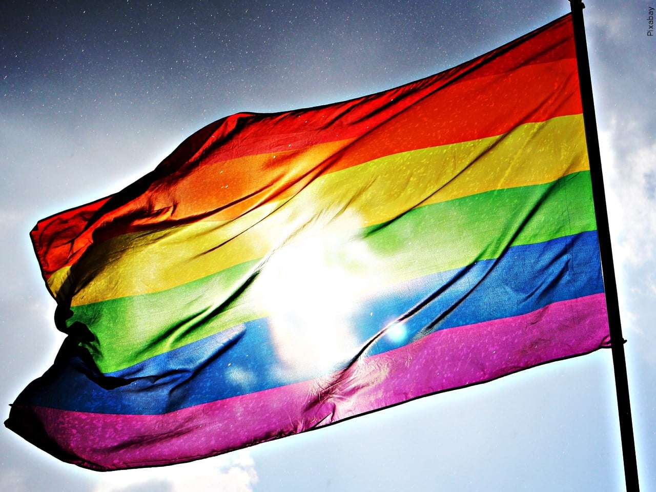 SAAC & CDAF say cancelling was "breach of trust"; drag show continues - Vimarsana News