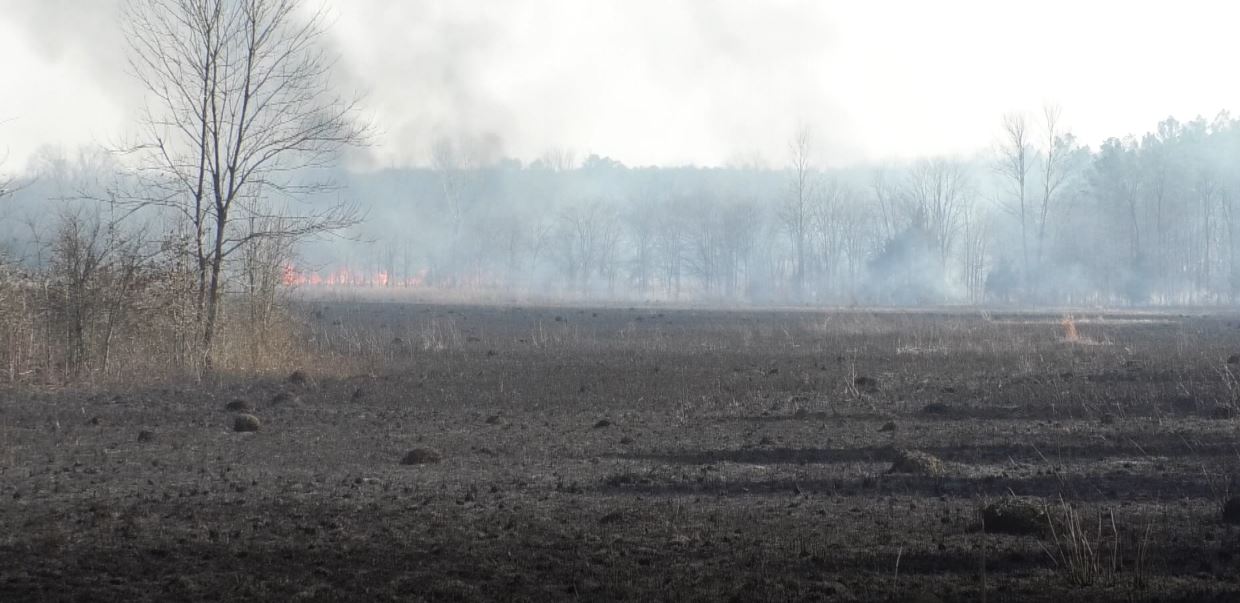 Fire experts warn North Mississippi residents about burn ban - Vimarsana News