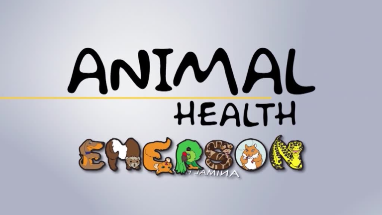 Animal Health 768x432 Image