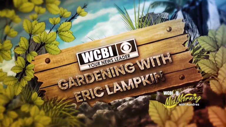 Gardening Wih Eric Lampkin 768x432 Image