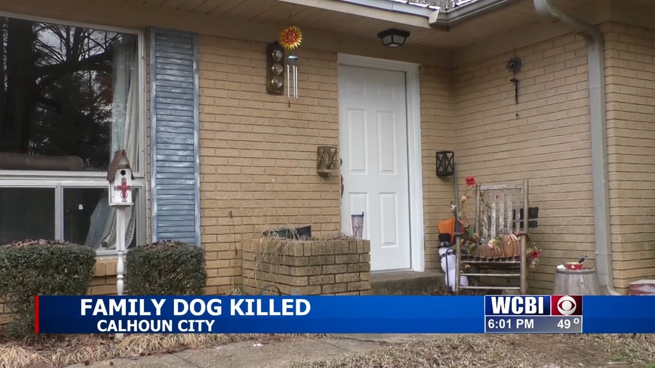 Family wants justice after neighbor allegedly shoots their family dog - Vimarsana News