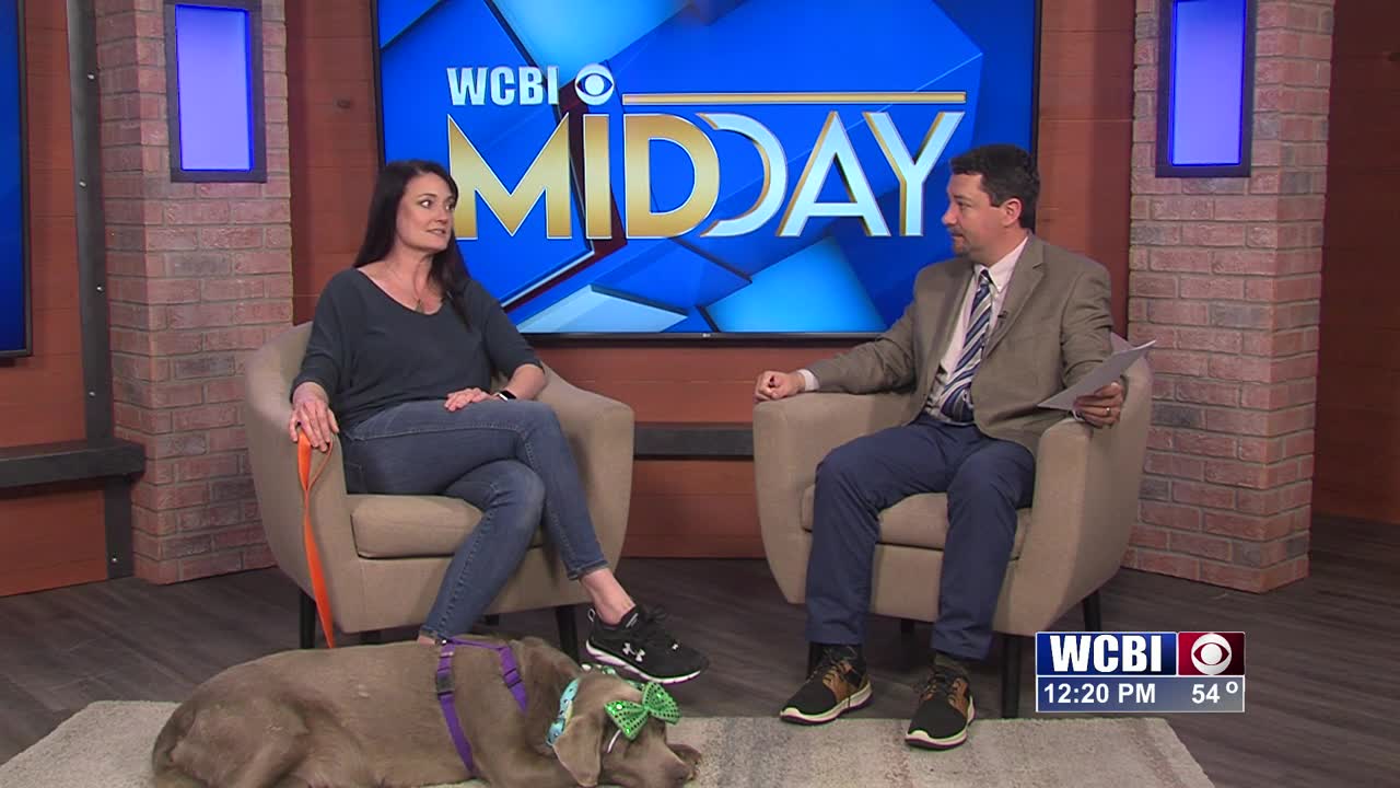 Pets Without Partners - 03/10/23 - Home - WCBI TV | Telling Your Story