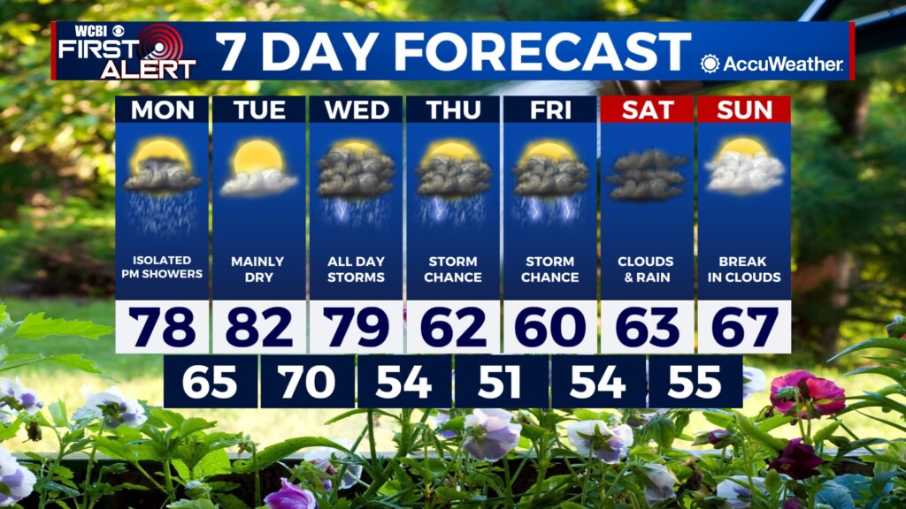 7 Day Forecast