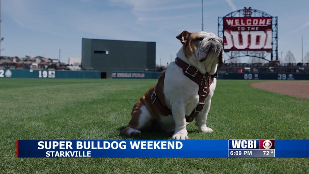 Starkville Gears Up For Super Bulldog Weekend Festivities
