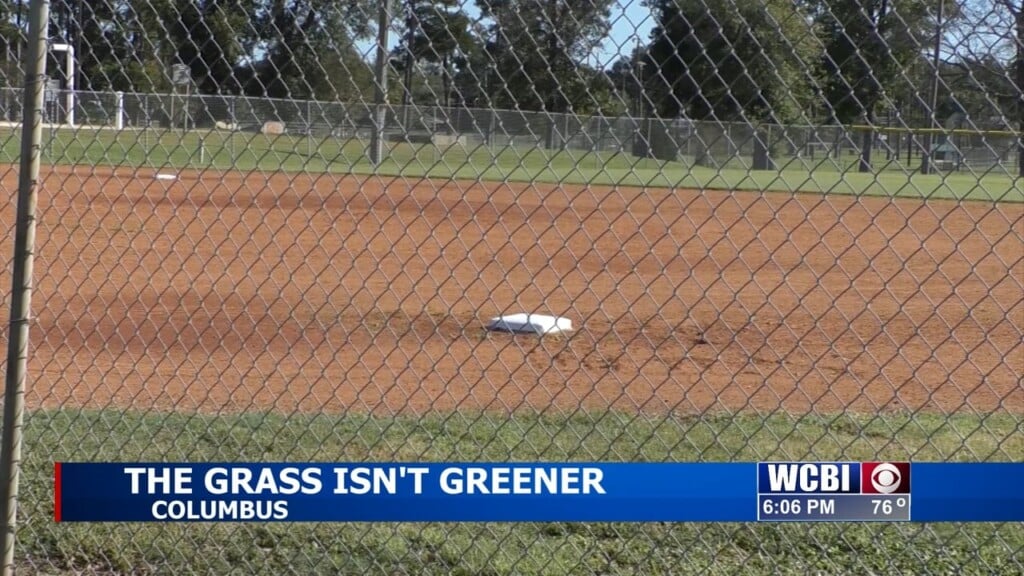 Columbus City Council Stalls Decision On Highway 82 Grass Maintenance