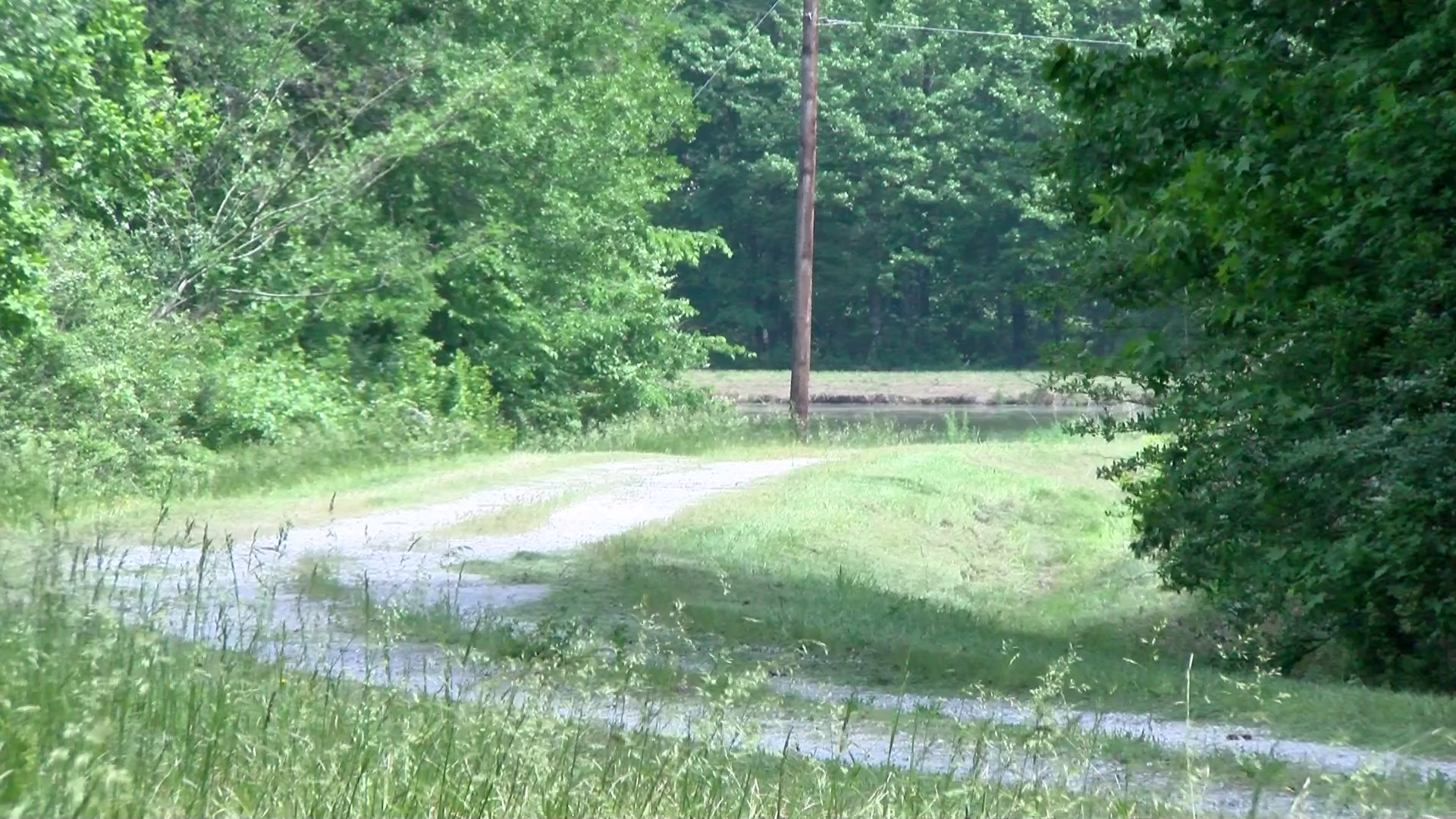 Investigators find fetus in Booneville wastewater treatment facility - Vimarsana News