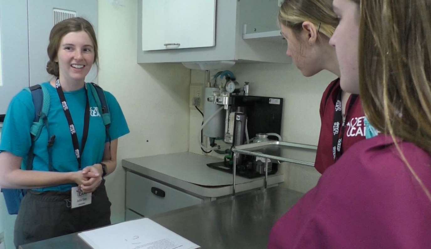Young students explore the veterinarian career at Mississippi State - Vimarsana News
