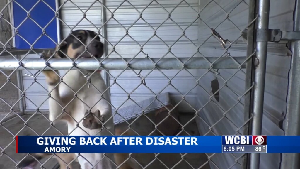 Amory Humane Society Helps Pet Owners Affected By March Tornadoes